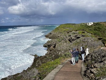 IMG_4552
