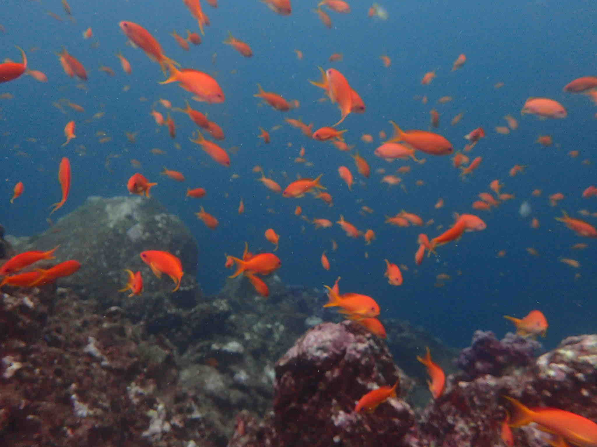 一意潜心 Livedoor Blog ブログ