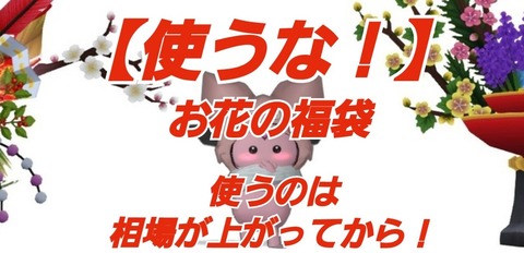 使うな お花の福袋 使うのは相場が上がってから まみむめもっちのドラクエ１０日記