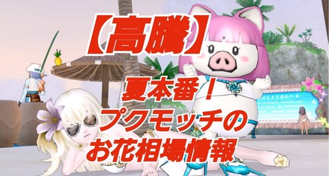 高騰 夏本番 プクモッチのお花相場情報 7 21 まみむめもっちのドラクエ10日記 高騰 夏本番 プクモッチのお花相場情報 7 21 まみむめもっちのドラクエ10日記