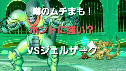 噂のムチまも ホントに強い vsジェルザーク まみむめもっちのドラクエ10日記 噂のムチまも ホントに強い vsジェルザーク まみむめもっちのドラクエ10日記