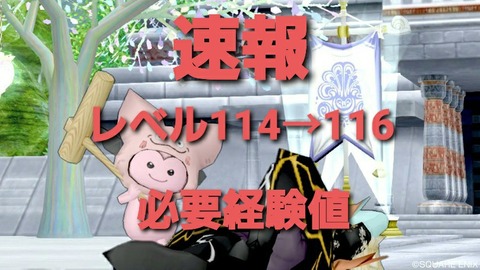 速報 レベル114 116必要経験値 まみむめもっちのドラクエ10日記 速報 レベル114 116必要経験値 まみむめもっちのドラクエ10日記