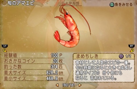 36483245310CAA31_message_441326724192775_1723932516378