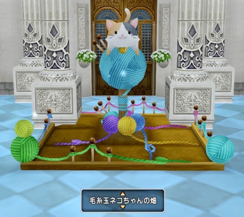 36483245310CAA31_message_437389585317433_1708553067646