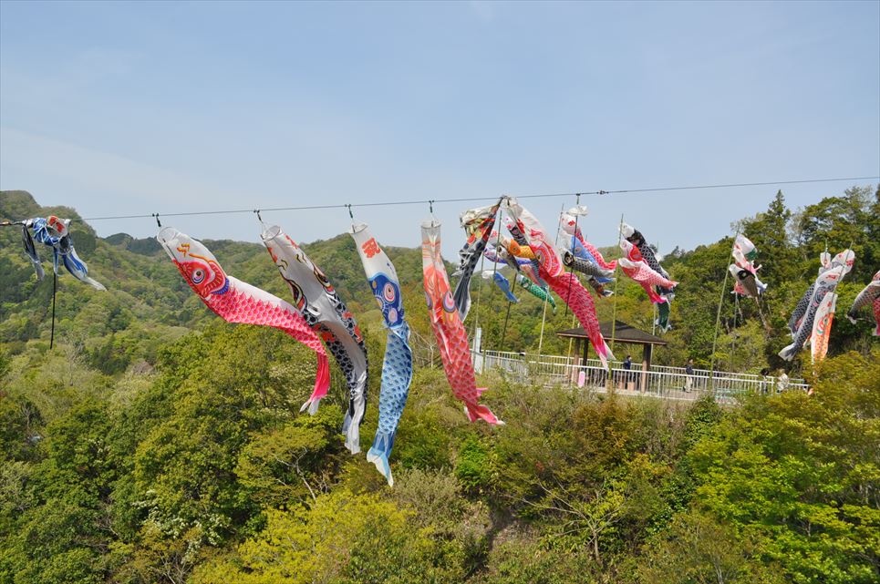 竜神峡 鯉のぼりまつり 13 茨城県在住の猫男 へるつ 日記