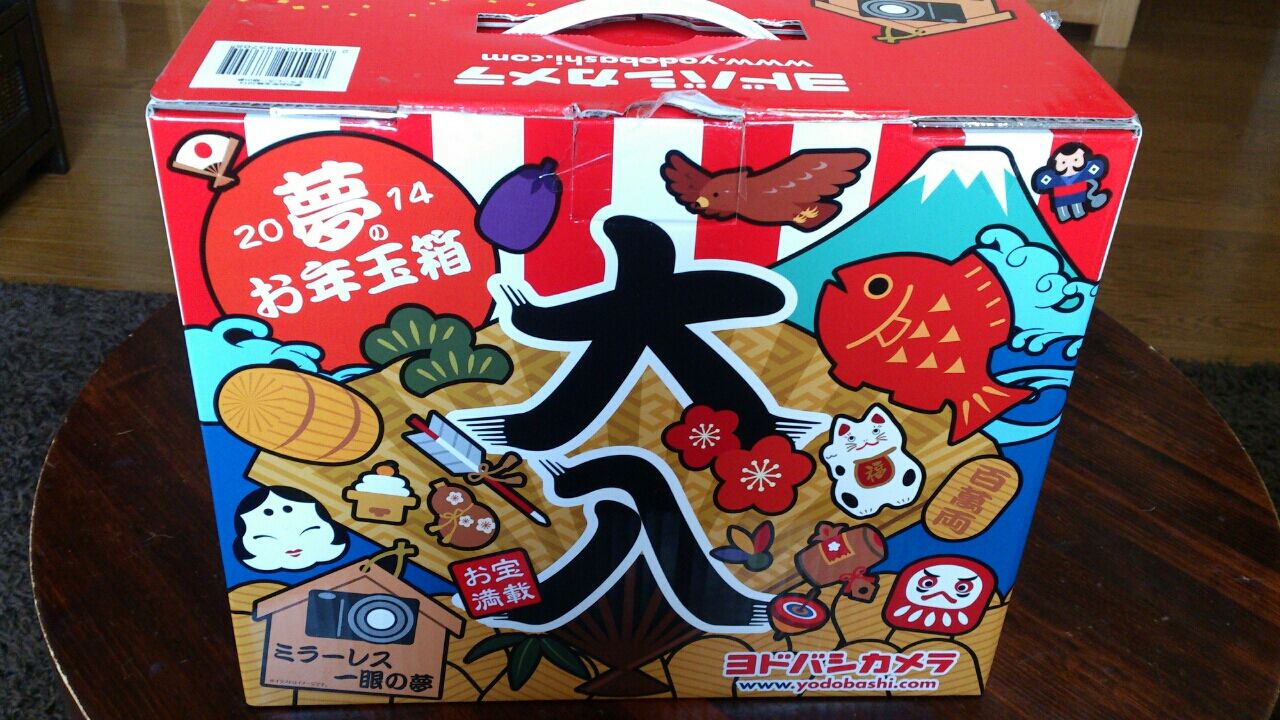 2014年ヨドバシカメラお年玉箱と近江神宮初詣 : 琵琶湖の戯言