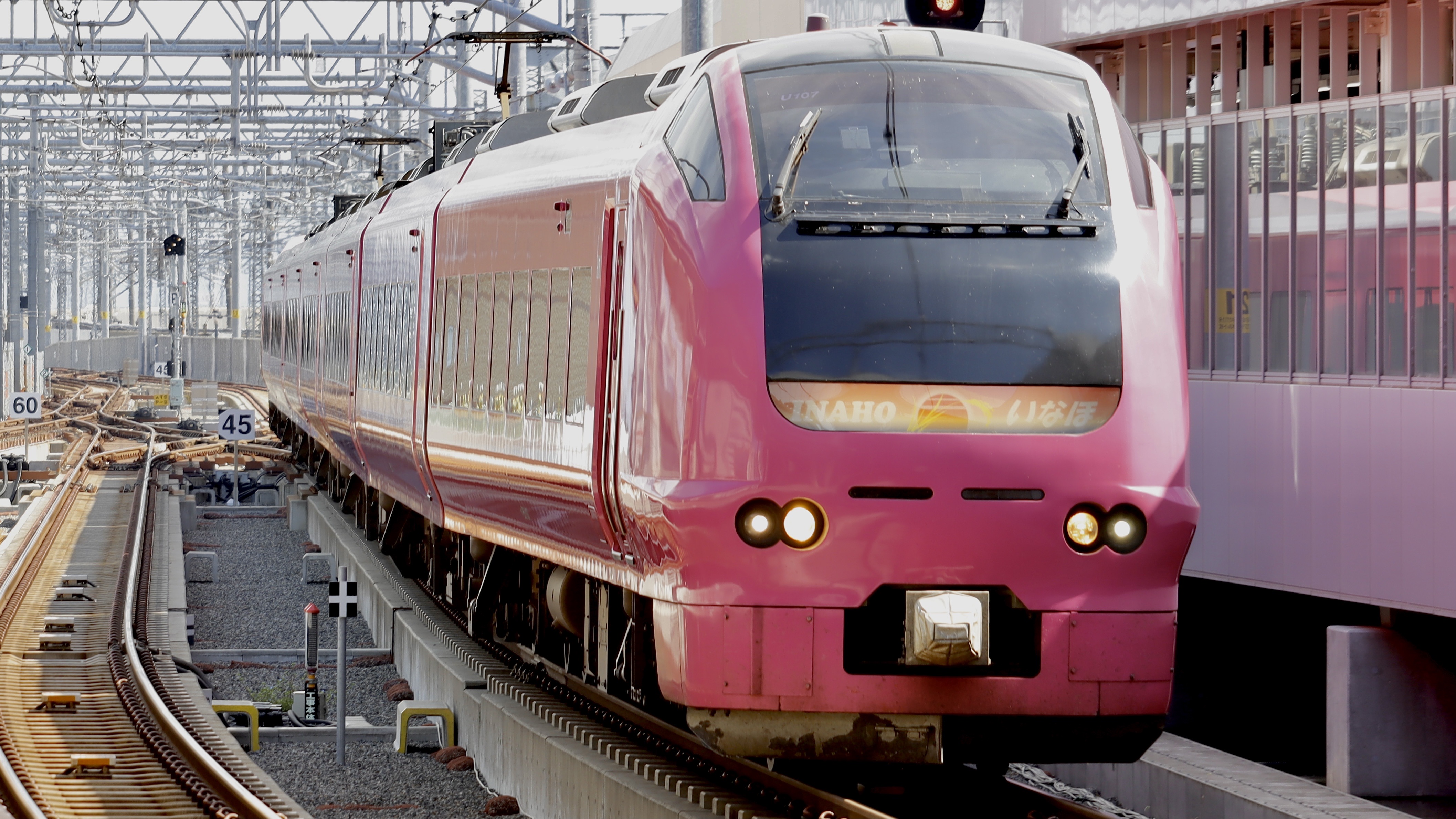 緑石英の礬素 : JR東日本E653系 3色LED行先表示