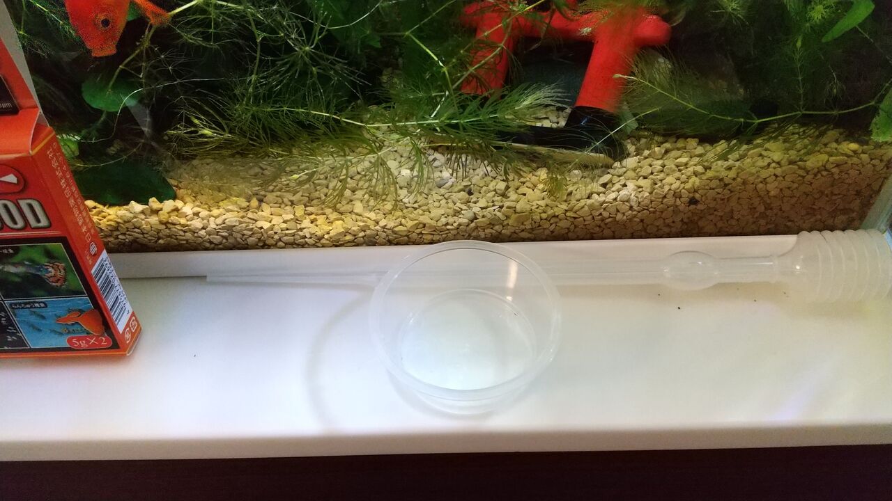 高品質 ウォーターフード めだか稚魚のためのウォーター フード 1ml Shipsctc Org