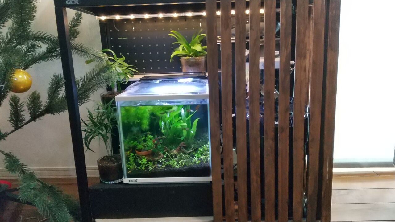 水槽台の柵を改造 Diy Motiのアクアリウム記録 Moti Aquarium