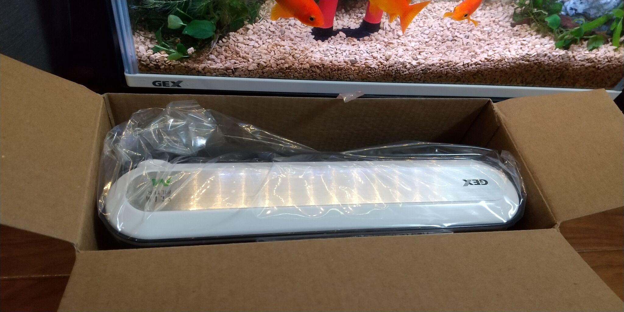 Gexのスリムフィルター導入 Motiのアクアリウム記録 Moti Aquarium Gexのスリムフィルター導入 Motiのアクアリウム記録 Moti Aquarium