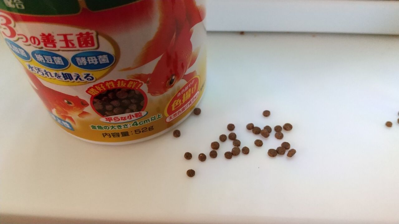 Gex新商品 金魚元気やさしいプロバイオフード その1 Motiのアクアリウム記録 Moti Aquarium