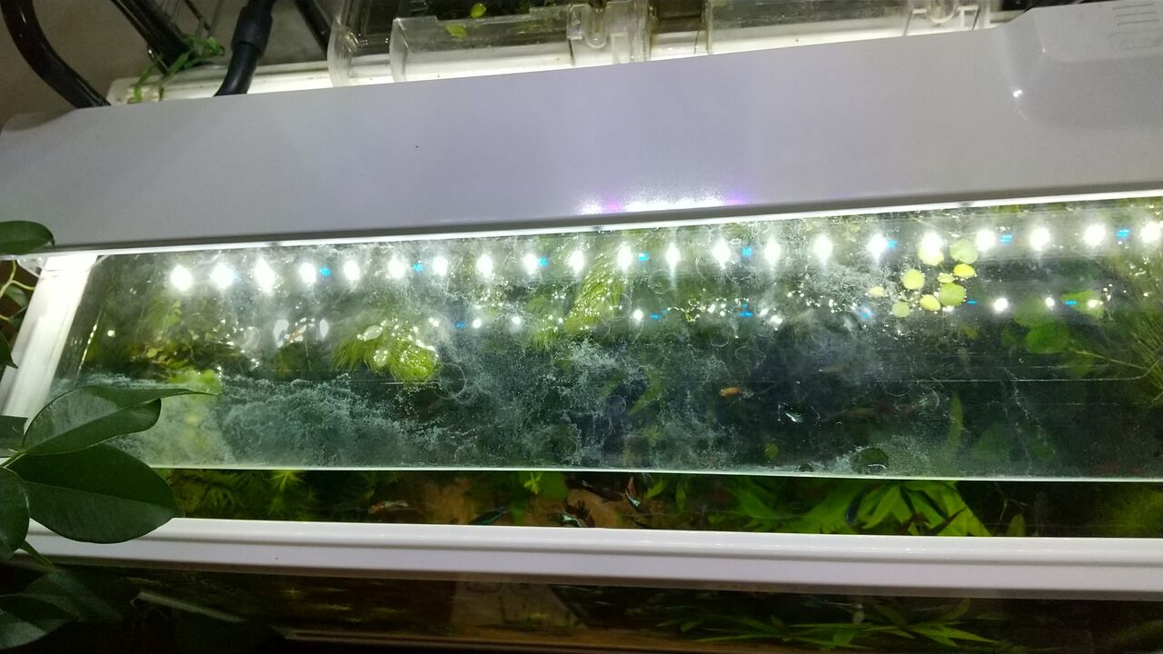 水槽台裏のラックの改良diyとか Motiのアクアリウム記録 Moti Aquarium 水槽台裏のラックの改良diyとか Motiのアクアリウム記録 Moti Aquarium