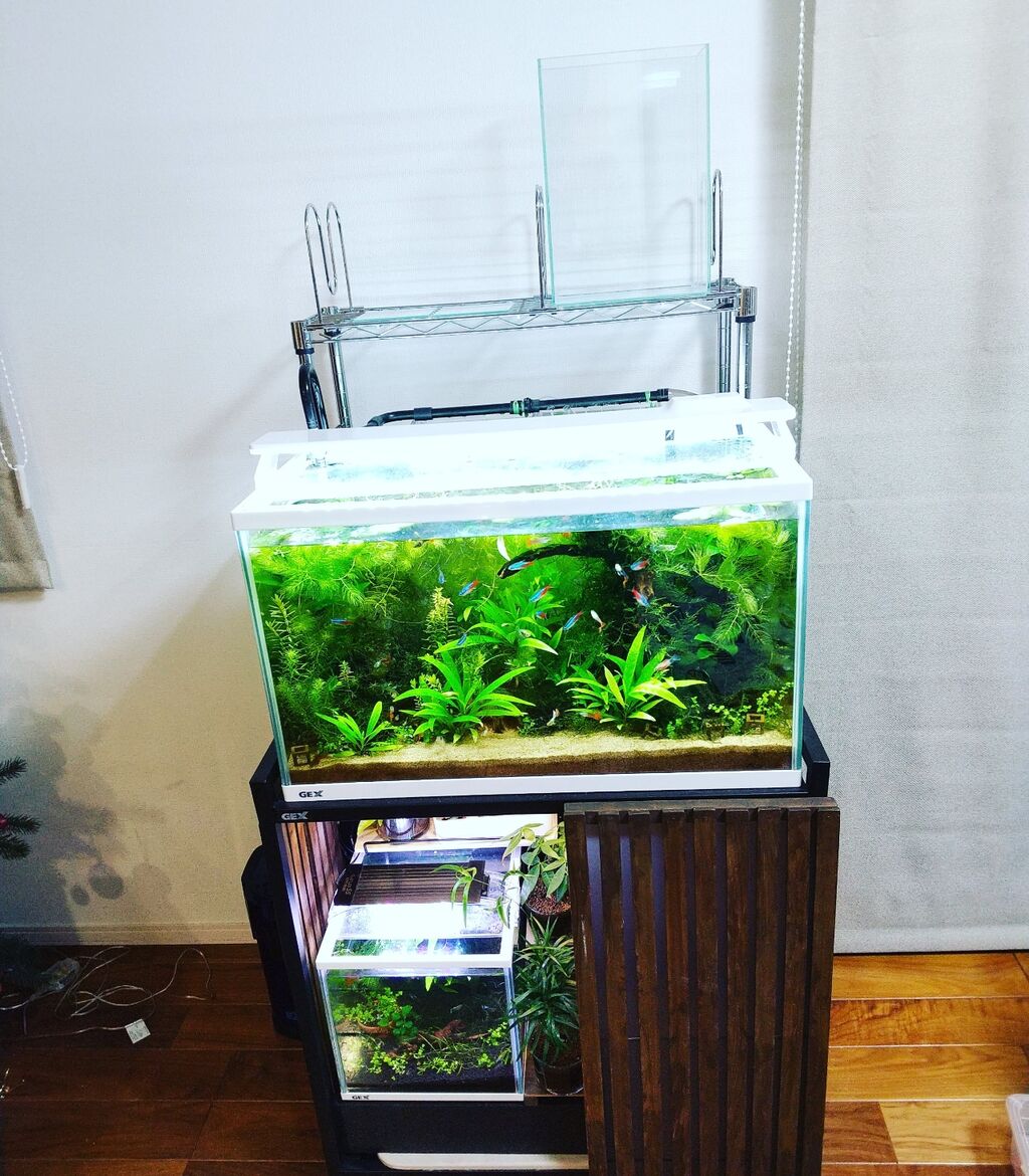 水槽台裏にラック追加 水槽台有効活用計画 Motiのアクアリウム記録 Moti Aquarium 水槽台裏にラック追加 水槽台有効活用計画 Motiのアクアリウム記録 Moti Aquarium