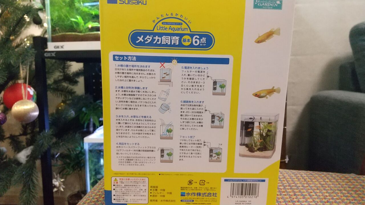 メダカさんのお引っ越しの様子 Motiのアクアリウム記録 Moti Aquarium メダカさんのお引っ越しの様子 Motiのアクアリウム記録 Moti Aquarium