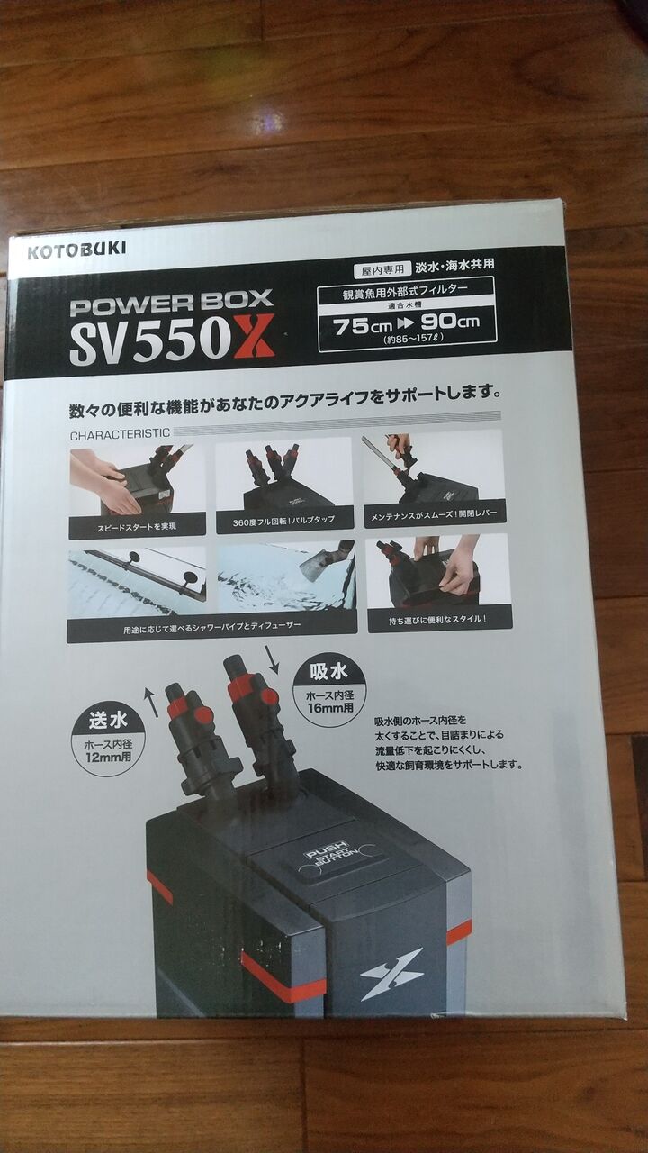 レグラスフラット水槽立ち上げ Motiのアクアリウム記録 Moti Aquarium レグラスフラット水槽立ち上げ Motiのアクアリウム記録 Moti Aquarium