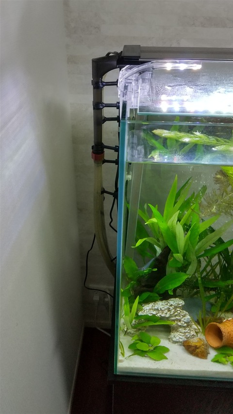 Motiのアクアリウム記録 Moti Aquarium Diy Motiのアクアリウム記録 Moti Aquarium Diy