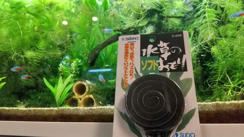 スドーの水草おもり到着 Motiのアクアリウム記録 Moti Aquarium スドーの水草おもり到着 Motiのアクアリウム記録 Moti Aquarium