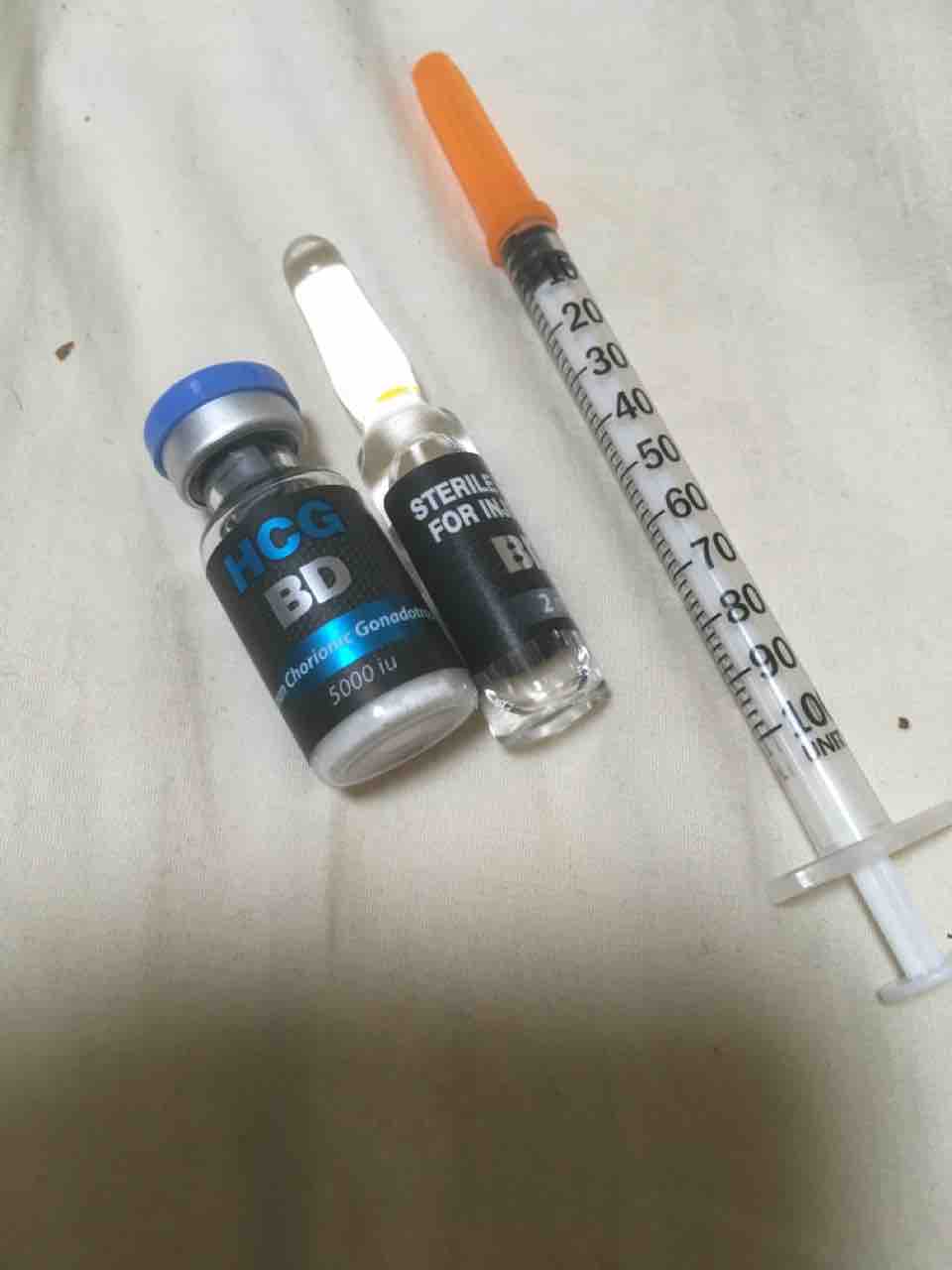 Hcg アナボリックステロイドサイクル始めました