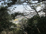 鳴門中央公園(その3)。
