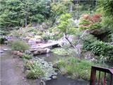 童学寺、庭園(その1)。
