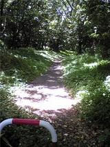 中林海岸近くの風景(その2)。