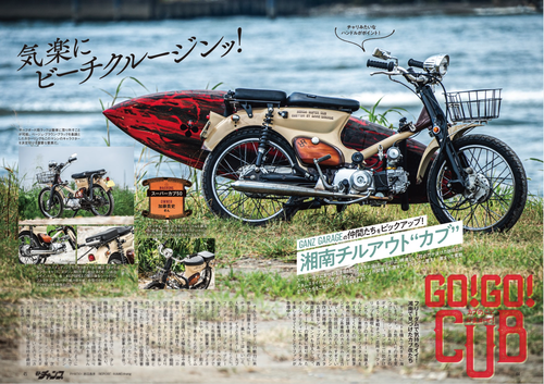 05_shonan¤Î¥³¥Ò゚¡¼