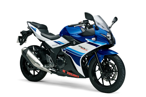 01_GSX250RL7_BEE_D