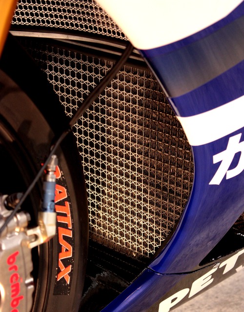 IMG_2267 - ¥³¥Ô¡¼