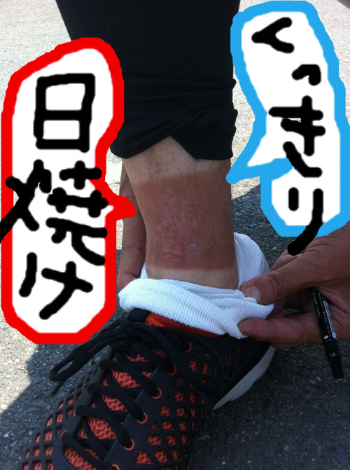 BlogPaint