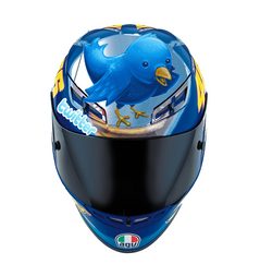 TwitGp_helmet_VR