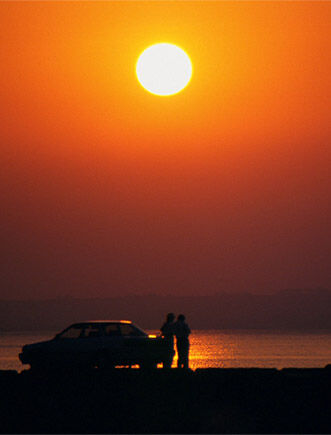 98800001 のコピー