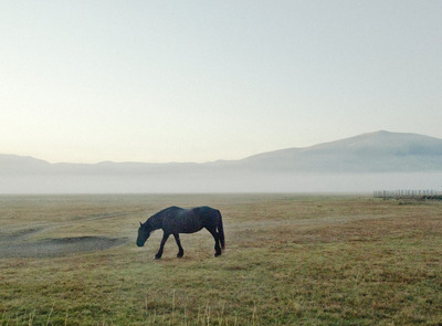 castelluccio05