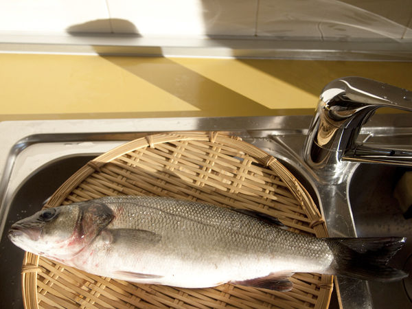 Motocchioの食いしん坊日記 魚丸ごと塩釜焼き Motocchioの食いしん坊日記 魚丸ごと塩釜焼き
