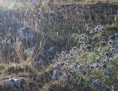 castelluccio04