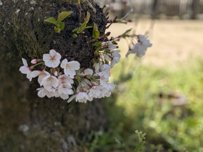 PXL_20250330_003553838.PORTRAIT_Original