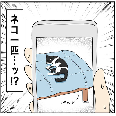 400 ネコ１匹かよっ！4