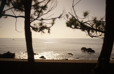 E0832A9C-2758-4C9E-952F-50EF01BBAF53