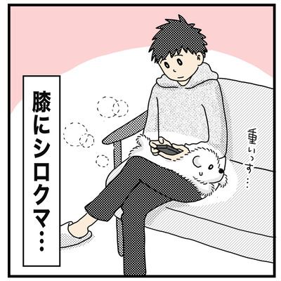 かわいいもの集合  (2才〜2才半）２