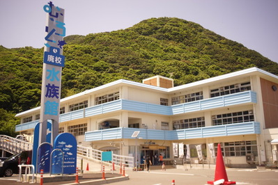 DSC08608