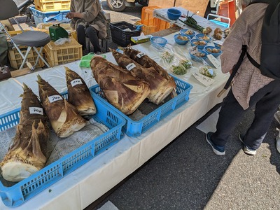 PXL_20240414_022311147