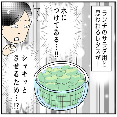 610 フーちゃんランチ3