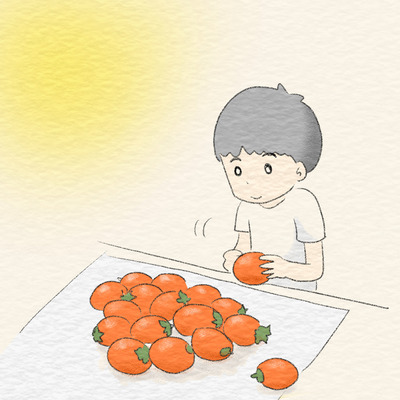 391 干し柿作り1