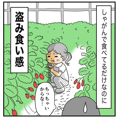 295 イチゴ狩り(2才〜2才半）4