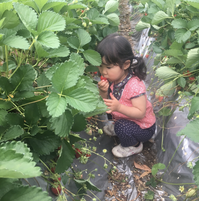 スクリーンショット 2022-01-11 12.42.24