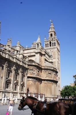 th_DSC04864.jpg
