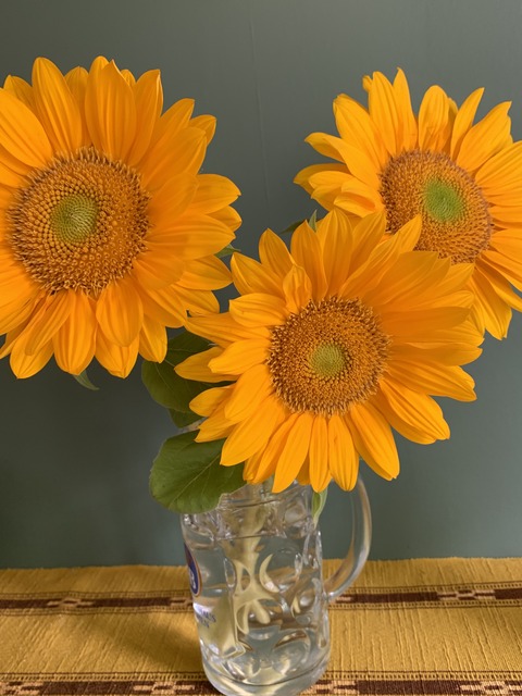 525F494B-22D6-45FA-8FD6-120811B6ECF2_1_201_a