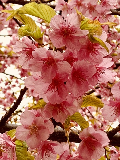 3673C4BC-44C6-487D-874F-3424A4E7C843