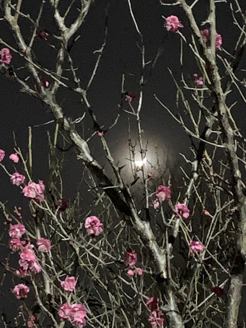 892FF81B-84F0-43D6-956A-2AF415827C28