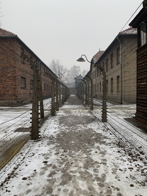 8FB1D5D2-76A5-4846-9318-770EF54FF246