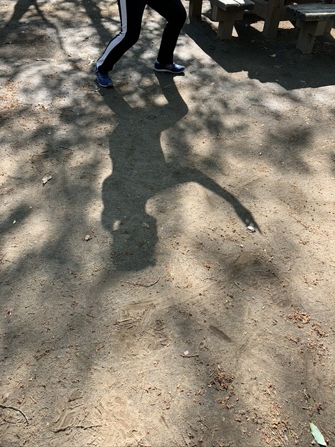 太極拳